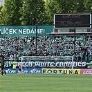 Bohemians - Jablonec 1:1 (0:1)