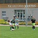 DFK Bohemians 1905 - SK Baník Libušín 9:2 (3:1)