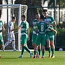 Lubin - Bohemians 1:1 (1:1)