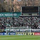 Bohemians - Mladá Boleslav 4:0 (1:0)