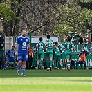 Bohemians - Mladá Boleslav 4:0 (1:0)