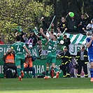 Bohemians - Mladá Boleslav 4:0 (1:0)