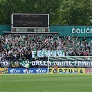 Bohemians - Pardubice 0:1 (0:0)