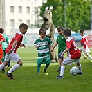 Bohemians - Pardubice 2:1 (1:0)