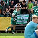 Bohemians - Pardubice 2:1 (1:0)