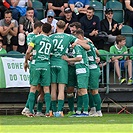 Bohemians - Pardubice 2:1 (1:0)