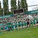 Bohemians - Pardubice 2:1 (1:0)