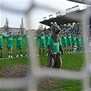 Bohemians - Jablonec 2:0 (2:0)