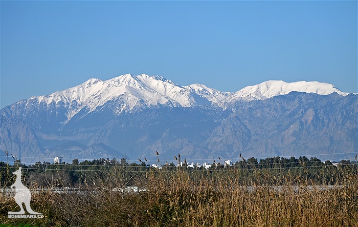 Čtvrteční trénink na soustředění v Turecku