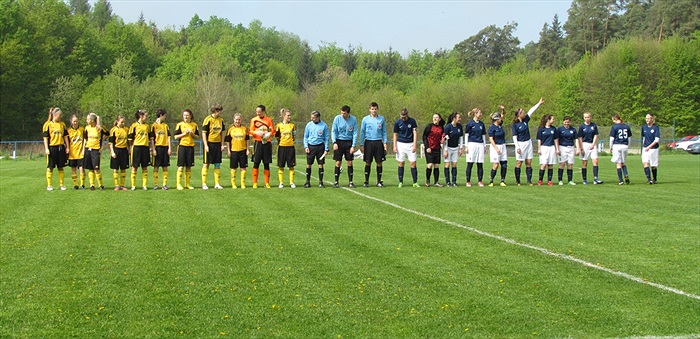 TJ Sokol Vonoklasy - DFK Bohemians 1905 0:1 (0:0)