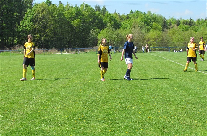 TJ Sokol Vonoklasy - DFK Bohemians 1905 0:1 (0:0)