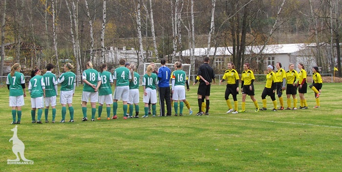 TJ Holoubkov - DFK Bohemians 1905 1:3 (0:1)