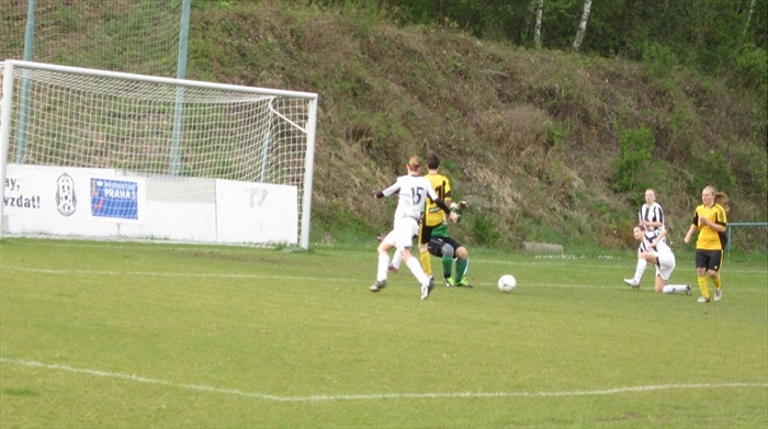 FK Zlíchov 1914 - DFK Bohemians 1905 0:2 (0:1)