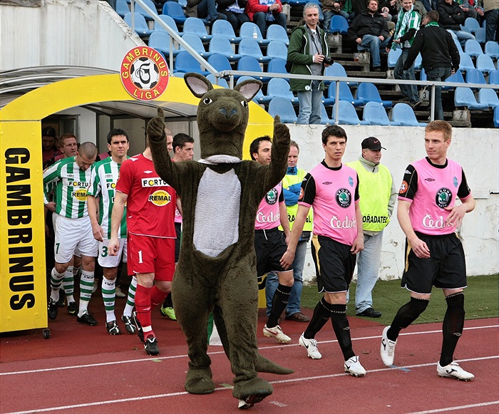 Nástup týmů na hrací plochu