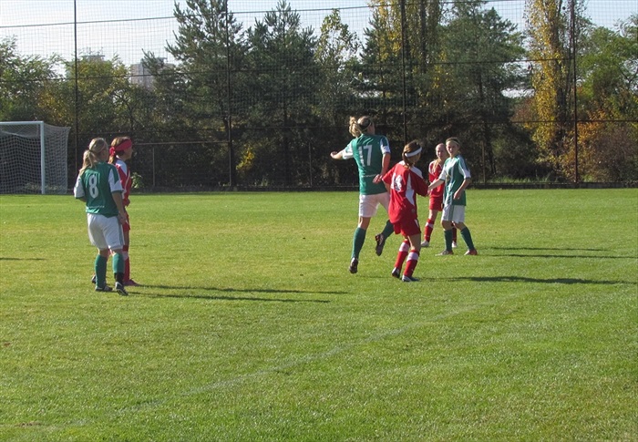 VS Plzeň - DFK Bohemians 1905 0:4 (0:2)