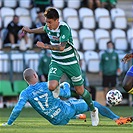 Bohemians - Zlín 2:0 (1:0)