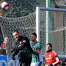 Bohemians Praha 1905 - 1.FK Příbram 5:0 (3:0)