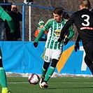 Bohemians Praha 1905 - 1.FK Příbram 5:0 (3:0)