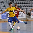 XXV. Memoriál dr. Václava Jíry