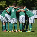 Bohemians Praha 1905 - FC Vysočina Jihlava 3:0 (1:0)