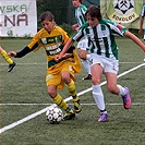 Střelec našeho jediného gólu Dominik Šlajsna