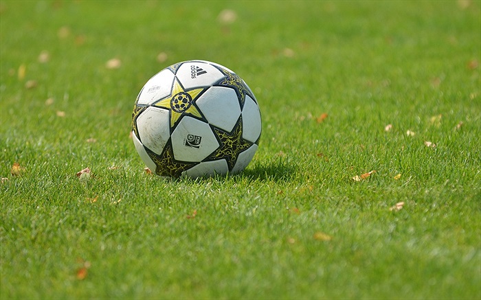 Bohemka zahájila přípravu na sezónu 2013/14