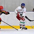 Klokani po roce opět na ledě