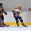 Klokani po roce opět na ledě