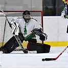 Klokani po roce opět na ledě