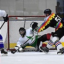 Klokani po roce opět na ledě