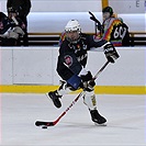 Klokani po roce opět na ledě