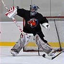 Klokani po roce opět na ledě