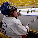 Klokani po roce opět na ledě