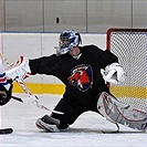 Klokani po roce opět na ledě