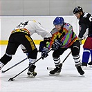 Klokani po roce opět na ledě