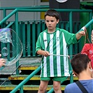 Dětský den v Ďolíčku