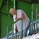 Brigáda v Ďolíčku - 07/2013