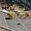 Brigáda v Ďolíčku - 07/2013