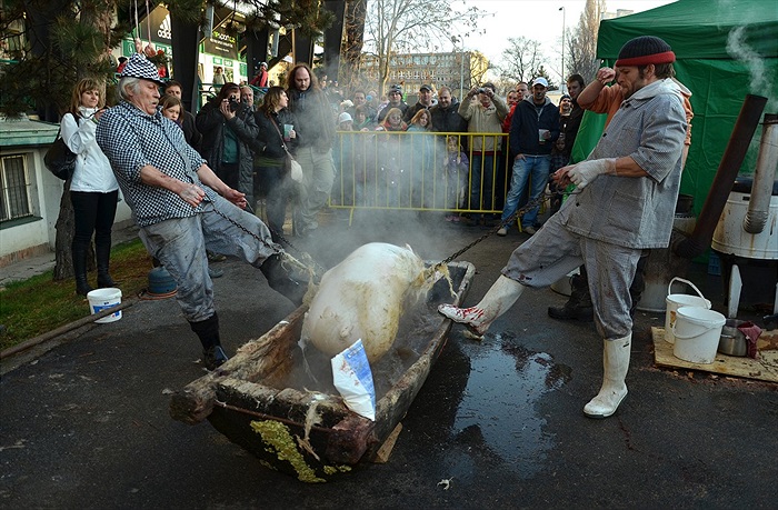 Vršovické posvícení v Ďolíčku