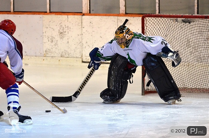 Hokejovou odvětu vyhráli mladí 9:6 - 2012