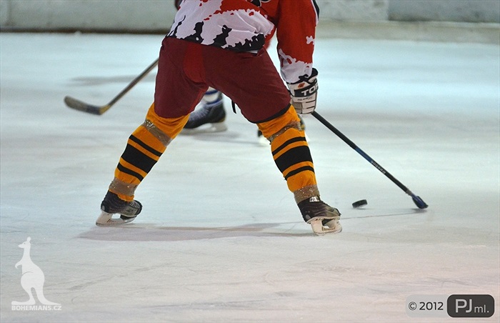 Hokejovou odvětu vyhráli mladí 9:6 - 2012
