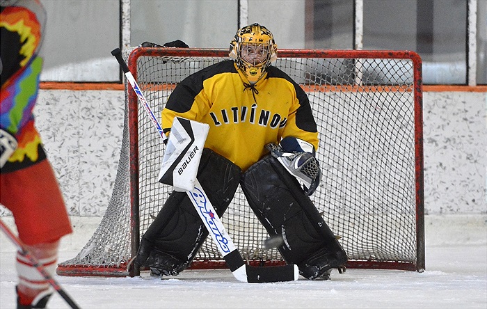 Hokej 2015: Černá - Bílá 7:6