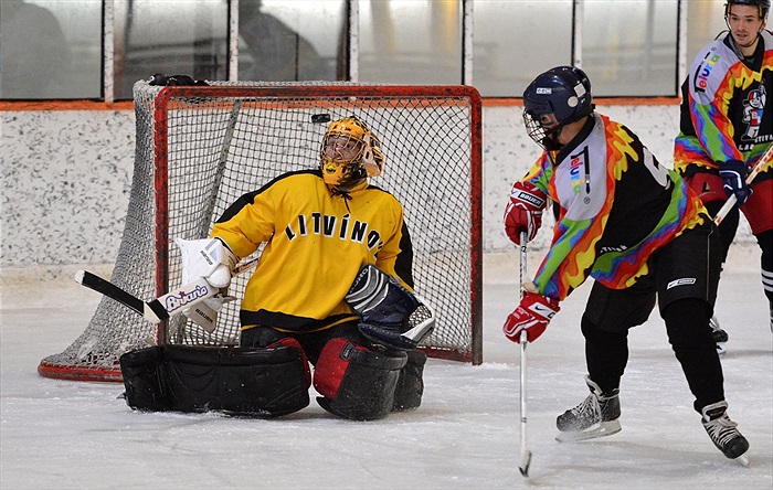 Hokej 2015: Černá - Bílá 7:6