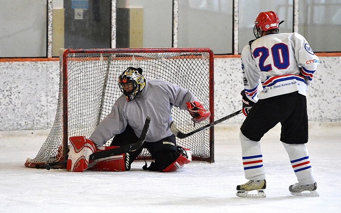 Hokej 2015: Černá - Bílá 7:6