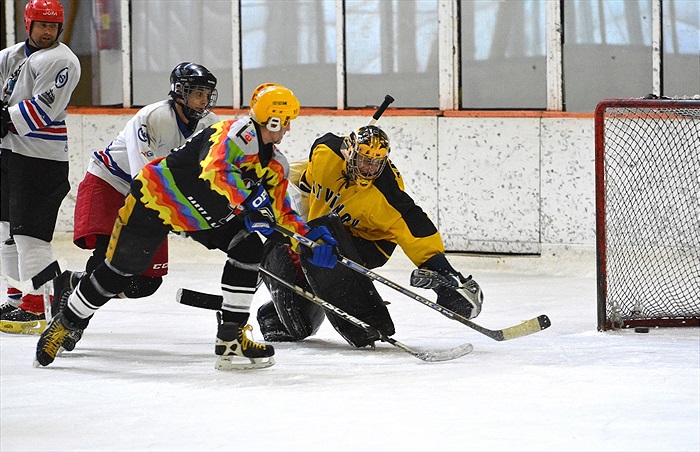 Hokej 2015: Černá - Bílá 7:6