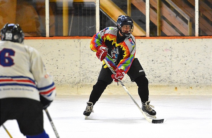 Hokej 2015: Černá - Bílá 7:6