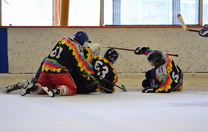 Hokej 2015: Černá - Bílá 7:6