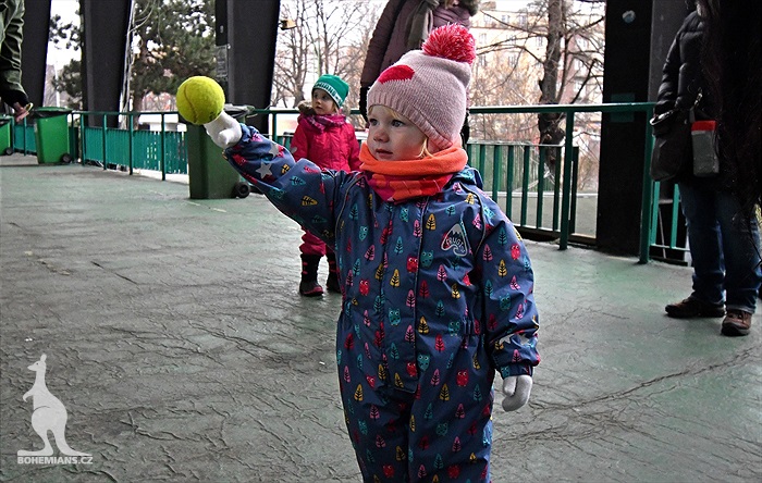 Vršovický masopust 2018