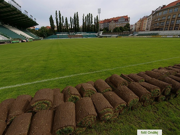 Ďolíček - velká brigáda 9. 6. 2012