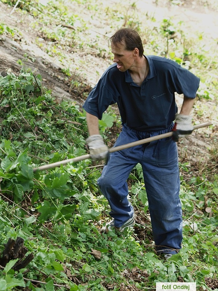 Ďolíček - velká brigáda 9. 6. 2012